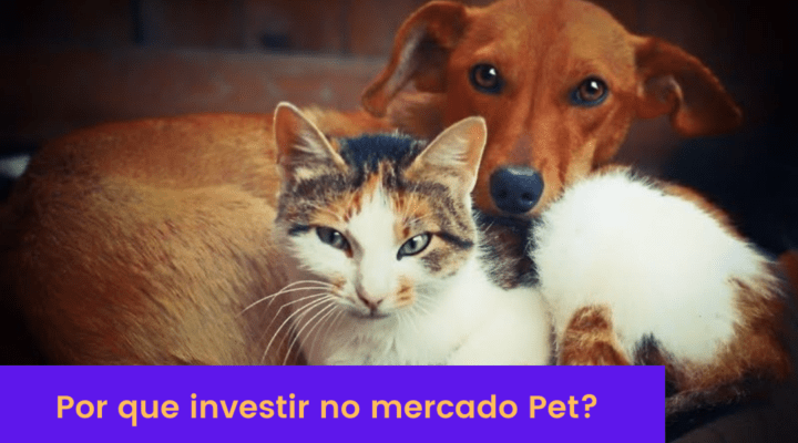 COMO MONTAR UM PET SHOP? Por que investir no mercado Pet?